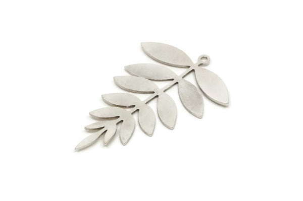 Silver Leaf Charm, 4 Antique Silver Plated Brass Acacia Leaf Charms With 1 Loop, Findings (37.5x25x0.60mm) SMP0306 Y258