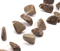 Fossil Coral Gemstone Beads 15.5 Inches Full Strand G1550 T092