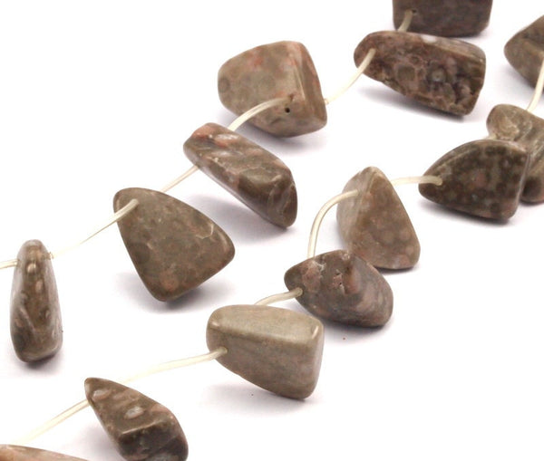 Fossil Coral Gemstone Beads 15.5 Inches Full Strand G1550 T092