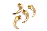 Brass Tiger Tooth - Raw Brass Tiger Tooth Necklace Pendants (27x10mm) N0261