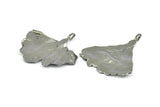 Gunmetal Gingko Leaf, 1 Gunmetal Plated Real Gingko Leaf with 1 Loop, Pendants, Findings X020