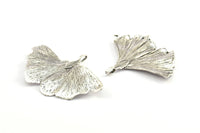 Silver Gingko Leaf, 1 Silver Tone Plated Real Gingko Leaf with 1 Loop, Pendants, Findings X025