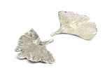 Silver Gingko Leaf, 1 Silver Tone Plated Real Gingko Leaf with 1 Loop, Pendants, Findings X026