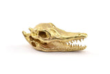 Brass Crocodile Skull, 2 Raw Brass Crocodile Skull With 1 Loop, Findings, Charms (27x9mm) BS 1878
