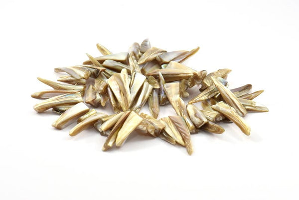 Doğal Sedef Boncuklar, Tam Sıralı Kabuk Boncuklar, İnci Boncuklar, Sivri Boncuklar (28 mm) SZ01