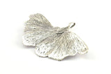 Silver Gingko Leaf, 1 Silver Tone Plated Real Gingko Leaf with 1 Loop, Pendants, Findings X025