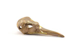 Bronze Bird Skull Charm, Solid Bronze Bird Skull Necklace Pendants With 1 Hole (33x10x11mm) N0341