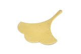 Brass Ginkgo Pendant, 12 Raw Brass Ginkgo Leaf Charms With 1 Hole (37x31x0.60mm) BS 2244