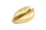 Brass Shell Finding, 1 Raw Brass Cowrie Shell Findings, Pendants, Charms, Earrings, Beads 38-41MM E596