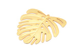 Gold Monstera Charm, Gold Plated Brass Monstera Leaf Charms With 1 Loop, Pendants, Earrings, Findings (45x43x0.60mm) D0654 Q0742