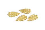 Brass Monstera Charm, 24 Raw Brass Monstera Leaf Charms With 1 Loop, Findings (22x13x0.30mm) D1662