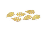 Brass Monstera Charm, 24 Raw Brass Monstera Leaf Charms With 1 Loop, Findings (22x13x0.30mm) D1662