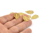 Brass Monstera Charm, 24 Raw Brass Monstera Leaf Charms With 1 Loop, Findings (22x13x0.30mm) D1662