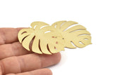 Gold Monstera Charm, 2 Gold Plated Brass Monstera Leaf Charms With 1 Loop, Findings (47x42x0.30mm) D1426