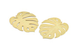 Gold Monstera Charm, 2 Gold Plated Brass Monstera Leaf Charms With 1 Loop, Findings (47x42x0.30mm) D1426