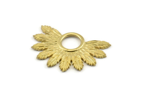Brass Badge Charm, Raw Brass Rosette Charm Pendants, Earrings, Findings (33x23mm) N0759