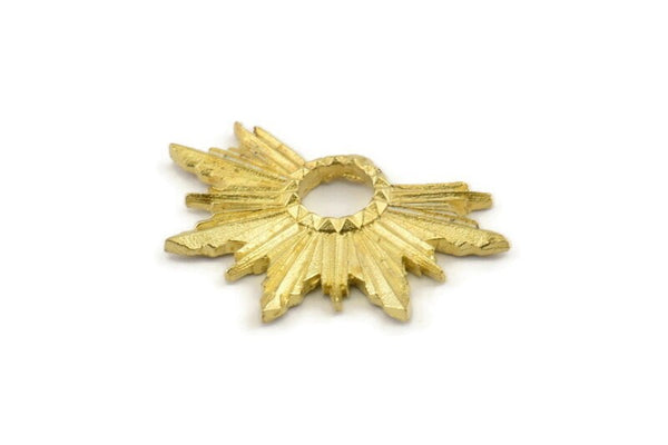 Brass Badge Charm, Raw Brass Rosette Charm Pendants, Earrings, Findings (33x22mm) N0760