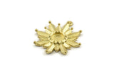 Brass Badge Charm, Raw Brass Rosette Charms With 1 Loop, Pendants, Earrings (28x26mm) N0835