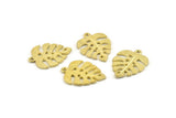 Brass Monstera Charm, Raw Brass Textured Monstera Leaf Charms With 1 Loop, Pendants, Earrings, Findings (25x18x1.4mm) N0752