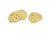 Brass Monstera Charm, Raw Brass Monstera Leaf Charms With 1 Loop, Pendants, Earrings, Findings (29x25x1mm) N1058