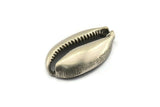 Silver Shell Finding, 1 Antique Silver Plated Brass Cowrie Shell Findings, Pendants, Charms, Earrings, Beads 43-46MM BS 1853