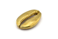 Brass Shell Finding, 1 Raw Brass Cowrie Shell Findings, Pendants, Charms, Earrings, Beads 32-34MM E338