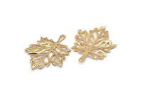 Gold Sycamore Pendant, Gold Plated Brass Leaf Charms (44x33mm) N0428 Q0113