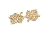 Gold Sycamore Pendant, Gold Plated Brass Leaf Charms (44x33mm) N0428 Q0113