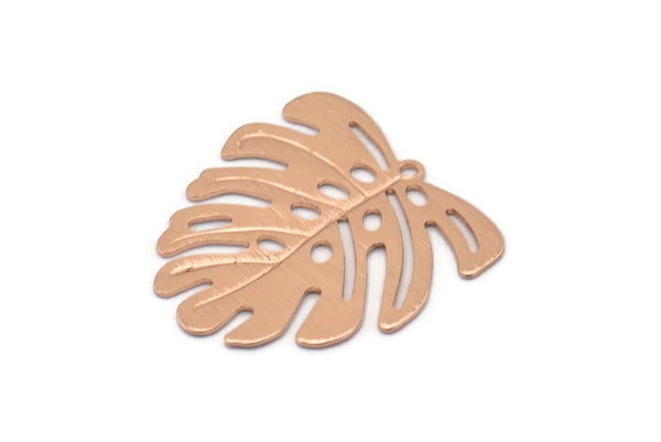 Rose Gold Monstera Charm, 6 Rose Gold Plated Brass Textured Monstera Leaf Charms With 1 Loop, Earrings, Findings (21x22x0.5mm) D872 Q0774