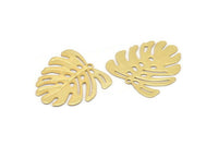 Altın Monstera Tılsımı, 1 Halkalı 6 Altın Kaplama Pirinç Dokulu Monstera Yaprağı Tılsımı, Kolye Uçları, Küpeler, Bulgular (21x22x0,5 mm) D872 Q0774