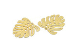 Altın Monstera Tılsımı, 1 Halkalı 6 Altın Kaplama Pirinç Dokulu Monstera Yaprağı Tılsımı, Kolye Uçları, Küpeler, Bulgular (21x22x0,5 mm) D872 Q0774