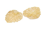 Gold Monstera Charm, 2 Gold Plated Brass Monstera Leaf Charms With 1 Loop, Pendants, Earrings, Findings (49x44x0.40mm) D0618 Q0731