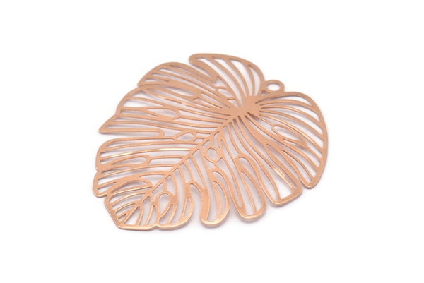 Rose Gold Monstera Charm, 2 Rose Gold Plated Brass Monstera Leaf Charms With 1 Loop, Pendants, Earrings, Findings (49x44x0.40mm) D0618 Q0731