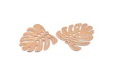 Rose Gold Monstera Charm, 6 Rose Gold Plated Brass Textured Monstera Leaf Charms With 1 Loop, Earrings, Findings (21x22x0.5mm) D872 Q0774