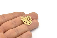 Altın Monstera Tılsımı, 1 Halkalı 6 Altın Kaplama Pirinç Dokulu Monstera Yaprağı Tılsımı, Kolye Uçları, Küpeler, Bulgular (21x22x0,5 mm) D872 Q0774