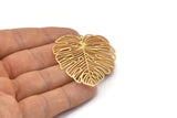 Gold Monstera Charm, 2 Gold Plated Brass Monstera Leaf Charms With 1 Loop, Pendants, Earrings, Findings (49x44x0.40mm) D0618 Q0731