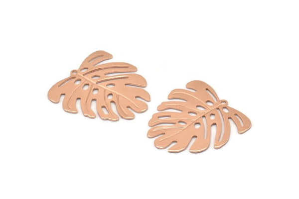 Rose Gold Monstera Charm, 6 Rose Gold Plated Brass Monstera Leaf Charms With 1 Loop, Pendants, Earrings, Findings (21x22x0.5mm) D0706 Q0753
