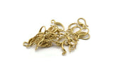 Brass Ear Hooks, 24 Raw Brass Earring Wires, Earring Hooks (14mm) D1332