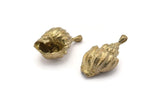 Brass Shell Charm, 2 Raw Brass Sea Shell Charm With 1 Loop (23x12mm) SY0196