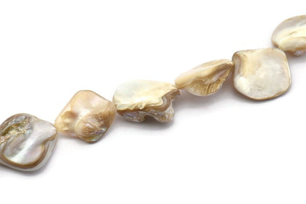 Doğal Sedef Boncuklar, Tam Zincirli Kabuk Boncuklar, İnci Boncuklar (22 mm) SZ02
