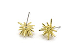 Brass Sea Urchin Earring, 6 Raw Brass Sea Urchin Stud Earrings (13mm) N1184