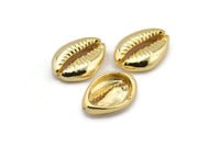 Gold Shell Finding, 2 Gold Plated Brass Cowrie Shell Findings, Pendants, Charms, Earrings, Beads  (13-18mm) E274 Q0534