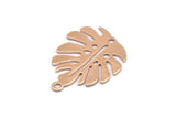 Rose Gold Monstera Charm, 6 Rose Gold Plated Brass Monstera Leaf Charms With 1 Loop, Pendants, Earrings, Findings (24x20x0.60mm) D1005 Q0874