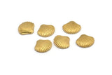 Brass Shell Blank, 12 Raw Brass Sea Shell Blanks, Earrings, Findings (13x11x2mm) D994