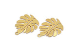 Gold Monstera Charm, 6 Gold Plated Brass Monstera Leaf Charms With 1 Loop, Pendants, Earrings, Findings (24x20x0.60mm) D1005 Q0874