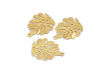 Gold Monstera Charm, 6 Gold Plated Brass Monstera Leaf Charms With 1 Loop, Pendants, Earrings, Findings (24x20x0.60mm) D1005 Q0874