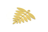 Brass Leaf Charm, 8 Raw Brass Acacia Leaf Charms With 1 Loop, Findings (25x25x0.60mm) A4354