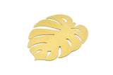 Brass Monstera Charm, 2 Raw Brass Monstera Leaf Charms With 1 Loop, Findings (47x42x0.40mm) D1426