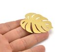 Brass Monstera Charm, 2 Raw Brass Monstera Leaf Charms With 1 Loop, Findings (47x42x0.40mm) D1426
