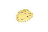 Brass Monstera Charm, 10 Raw Brass Monstera Leaf Charms With 1 Loop, Findings (30x25x0.40mm) F109